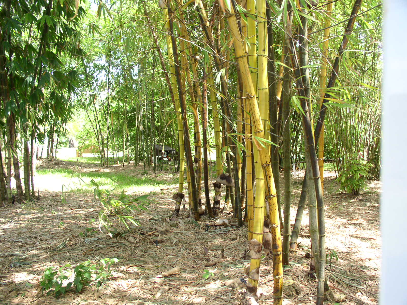 photo1